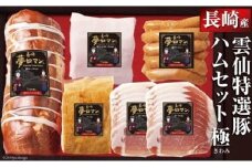 ハムセット極(きわみ) 詰め合わせ [長崎県農産品流通 長崎県 雲仙市 item1556] ブロック セット ポークハム ロースハム ウインナー 生ハムスライス 国産豚 