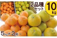 【期間限定発送】 みかん 柑橘詰合せセット 2種類（5kg×2箱）計10kg [森崎果樹園 長崎県 雲仙市 item1342] みかん 10kg 果物 フルーツ 詰め合わせ セット 10キロ 期間限定