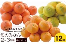 【期間限定発送】 みかん 季節のみかんセット 12kg（4kg×3箱） [森崎果樹園 長崎県 雲仙市 item1341] みかん 果物 くだもの ミカン セット 12キロ 期間限定