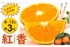 【期間限定発送】長崎特産ブランド みかん 紅香 (べにかおり) 約 3kg 全身果汁の新柑橘 [長崎県農産品流通 長崎県 雲仙市 item1561] みかん ミカン べにかおり 果物 フルーツ くだもの 3キロ 季節限定 期間限定