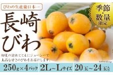 【期間限定発送】【数量限定】 長崎びわ 約 1kg [長崎県農産品流通 長崎県 雲仙市 item1562] ビワ 枇杷 果物 くだもの フルーツ 季節限定 期間限定