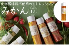雲仙ナチュラルドレッシング みかん たっぷり 1L [ベジドリーム 長崎県 雲仙市 item1618] ドレッシング 雲仙 調味料 サラダ