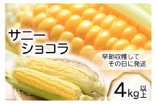 【期間限定発送】収穫当日発送 スイートコーン 4kg 以上 [長崎県農産品流通 長崎県 雲仙市 item1567] とうもろこし トウモロコシ コーン サニーショコラ 野菜 4キロ以上
