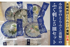 小浜金のとらふぐ「ふぐ刺し」5皿セット / 田中鮮魚店 / 長崎県 雲仙市 [item0869] / 魚 フグ ふぐ刺し セット  