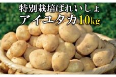 【期間限定発送】 じゃがいも 春作産 特別栽培ばれいしょ アイユタカ 10kg 箱 [小浜特別生産組合 長崎県 雲仙市 item1770] ジャガイモ 野菜 春じゃがいも 春じゃが 10キロ 期間限定
