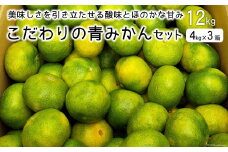 【期間限定発送】 みかん こだわりの青みかんセット 12kg（4kg×3箱） [森崎果樹園 長崎県 雲仙市 item2270] みかん 果物 フルーツ 青みかん 12キロ 期間限定