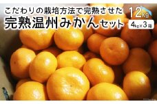 【期間限定発送】 みかん 完熟温州みかんセット 12kg（4kg×3箱） [森崎果樹園 長崎県 雲仙市 item2271] みかん 温州 果物 12キロ 期間限定