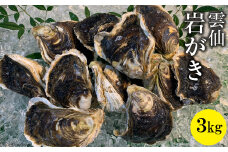 雲仙岩がき 3kg [田中鮮魚店 長崎県 雲仙市 item1743] 牡蠣 カキ かき 岩ガキ 岩牡蠣 岩がき 3キロ