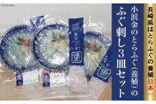 小浜金のとらふぐ「ふぐ刺し」3皿セット / 田中鮮魚店 / 長崎県 雲仙市 [item0868] / とらふぐ ふぐ刺し ふぐ 3皿 セット 