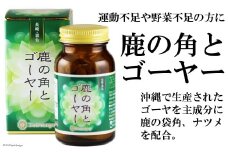 鹿の角とゴーヤー