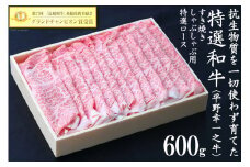 【特選和牛 平野幸一之牛】 牛すき焼きしゃぶしゃぶ用 スライス 600g [増山（焼肉薩摩） 長崎県 雲仙市 item2179] 牛肉 すき焼き 焼肉 黒毛和牛 和牛 肉 冷凍