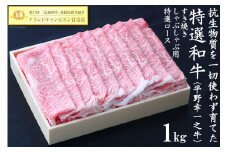 特選和牛＜平野幸一之牛＞牛すき焼きしゃぶしゃぶ用1kg＜焼肉薩摩＞【長崎県雲仙市】