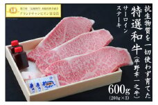 【特選和牛 平野幸一之牛】 サーロインステーキ 200g×3 計600g [増山（焼肉薩摩） 長崎県 雲仙市 item2180] 牛肉 ステーキ サーロイン 黒毛和牛 和牛 肉 冷凍