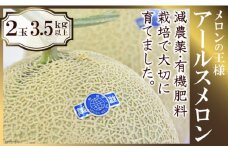 【期間限定発送】【メロンの王様】アールスメロン 2玉 3.5キロ以上 [長崎県農産品流通 長崎県 雲仙市 item1545] メロン めろん 果物 フルーツ 季節限定 数量限定 期間限定