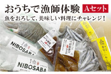 おうちで漁師体験Ａセット ヒラメ 1尾 マサバ 2尾 カタクチイワシ 2袋 [天洋丸 長崎県 雲仙市 item1736] ひらめ さば サバ 鯖 いわし イワシ