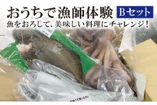 おうちで漁師体験Ｂセット ヒラメ 1尾 マサバ 2尾 マダコ 1袋 [天洋丸 長崎県 雲仙市 item1737] ひらめ さば サバ 鯖 たこ タコ