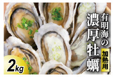 【期間限定発送】瑞穂産牡蠣 2kg [諫早湾漁業協同組合 長崎県 雲仙市 item2170] 牡蠣 カキ 殻付き 殻付 加熱用 冷蔵 カンカン焼き