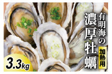 【期間限定発送】瑞穂産牡蠣 3.3kg [諫早湾漁業協同組合 長崎県 雲仙市 item2063] 牡蠣 カキ 殻付き 殻付 加熱用 冷蔵  カンカン焼き