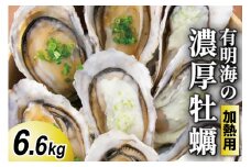 【期間限定発送】瑞穂産牡蠣 6.6kg [諫早湾漁業協同組合 瑞穂支所 長崎県 雲仙市 item2062] 牡蠣 カキ 大粒 加熱用
