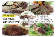 鹿肉 詰め合わせ 4種類×2セット 生ハム ベーコン ハンバーグ ソフトサラミ [ディアー・カンパニー 長崎県 雲仙市 item1513] ジビエ 鹿 シカ肉 しか肉