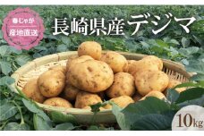 【期間限定発送】なんぐしデジマ（春作じゃがいも）10kg [なんぐしデジマプロジェクトチーム 長崎県 雲仙市 item2067] 野菜 じゃがいも 春じゃが 10キロ 期間限定