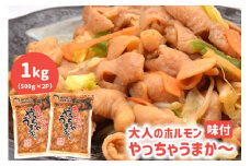 味付 大人のホルモン やっちゃうまか～ 500g×2p 計 1kg  [パップ・ザ・セカンドコーポレーション 長崎県 雲仙市 item1801] ホルモン 焼肉 小分け 味付き