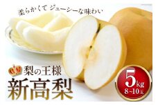 【期間限定発送】【数量限定！】 梨の王様 新高梨 約5kg [長崎県農産品流通 長崎県 雲仙市 item1548] 梨 新高 なし ナシ 果物 フルーツ 5キロ 数量限定