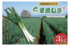 【期間限定発送】 ねぎ 雲仙栗原ねぎ 約300g（5本）×10束 計3kg [栗原ねぎ 長崎県 雲仙市 item1895] ネギ 白ネギ 野菜 10束 3キロ