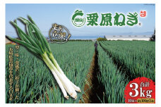 【期間限定発送】 ねぎ 雲仙栗原ねぎ 約300g（3本）×10束 計3kg [栗原ねぎ 長崎県 雲仙市 item1894] ネギ 白ネギ 野菜 10束 3キロ