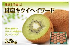 【期間限定発送】【健康と美容に！】国産 キウイフルーツ キウイ ヘイワード 3.5kg [長崎県農産品流通合同会社 長崎県 雲仙市 item2046] 果物 くだもの グリーンキウイ 3.5キロ 期間限定 数量限定