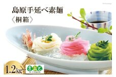 【思いやり型返礼品】島原手延べ素麺 桐箱 1.2kg [コロニーエンタープライズ 長崎県 雲仙市 item1259] 