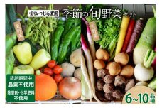 季節の旬野菜セット 6～10品種 詰め合わせ 産地直送 [雲仙つむら農園 長崎県 雲仙市 item2200] やさい 西洋野菜 根菜 季節野菜 食べ比べ