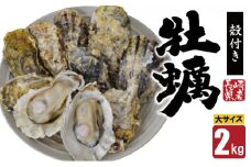【期間限定発送】【数量限定！】雲仙産 牡蠣 大サイズ 2kg 加熱用・殻付き [ふるさと企画 長崎県 雲仙市 item2009] カキ かき 殻付 2キロ 冷蔵 カンカン焼き 季節限定