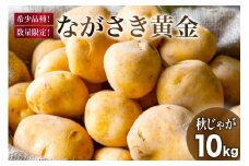 マツコの知らない世界で紹介【期間限定発送】 じゃがいも ながさき黄金 10kg ( 秋じゃがいも ) [南串ながさき黄金生産組合 長崎県 雲仙市 item1353] ジャガイモ 秋ジャガイモ 野菜 10キロ 期間限定