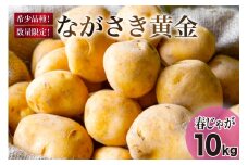 【期間限定発送】 じゃがいも ながさき黄金 10kg ( 春じゃがいも ) [南串ながさき黄金生産組合 長崎県 雲仙市 item1354] ジャガイモ 春ジャガイモ 野菜 10キロ 期間限定