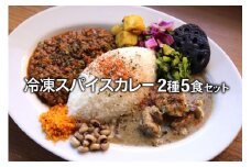 冷凍 スパイスカレー 2種 計5食セット [カレーライフ 長崎県 雲仙市 item2249] 