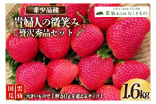【期間限定発送】いちご 雲仙くにみ苺 貴婦人の微笑み 贅沢秀品セット200g×8p 計1.6kg [国見園芸出荷組合 長崎県 雲仙市 item1717] イチゴ 苺 果物 フルーツ 完熟 ストロベリー 長崎県産 季節限定