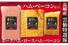 ハム ベーコン 詰め合わせ 3種類 1.85kg [長崎県農産品流通 長崎県 雲仙市 item1554] ブロック セット ポークハム ロースハム 国産豚