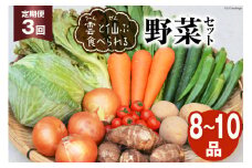 3回 定期便 雲（う～ん）と仙（ぜん）ぶ食べられる 野菜セット 8～10品 [肥前グローカル 長崎県 雲仙市 item2201] 野菜セット 野菜 セット 詰め合わせ