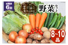 6回 定期便 雲（う～ん）と仙（ぜん）ぶ食べられる 野菜セット 8～10品 [肥前グローカル 長崎県 雲仙市 item2202] 野菜セット 野菜 セット 詰め合わせ