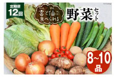 12回 定期便 雲（う～ん）と仙（ぜん）ぶ食べられる 野菜セット 8～10品 [肥前グローカル 長崎県 雲仙市 item2203] 野菜セット 野菜 セット 詰め合わせ