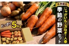【期間限定発送】季節の野菜 セット 5kg 【じゃが・玉ねぎ・人参】 冬限定品 [長崎県農産品流通 長崎県 雲仙市 item1544] 野菜 詰め合わせ じゃがいも にんじん たまねぎ セット 5キロ 常備野菜 季節限定 冬限定 期間限定