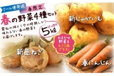 【期間限定発送】春の新野菜 セット 約 5kg 新じゃがいも・新玉ねぎ・春人参 プラス自慢の旬野菜1品 [長崎県農産品流通 長崎県 雲仙市 item1565] 野菜 春野菜 じゃがいも 玉ねぎ 人参 セット 5キロ
