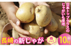 【期間限定発送】 じゃがいも 飛子の馬鈴薯 10kg 春じゃが [長崎県農産品流通 長崎県 雲仙市 item1540] ジャガイモ 春じゃがいも 10キロ 野菜 季節限定
