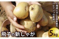 【期間限定発送】 じゃがいも 飛子の馬鈴薯 5kg 秋じゃが [長崎県農産品流通 長崎県 雲仙市 item1543] ジャガイモ 秋じゃがいも 5キロ 野菜 季節限定