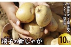 【期間限定発送】 じゃがいも 飛子の馬鈴薯 10kg 秋じゃが [長崎県農産品流通 長崎県 雲仙市 item1542] ジャガイモ 秋じゃがいも 10キロ 野菜 季節限定
