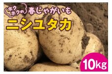 【期間限定発送】ホクホクの 春じゃがいも 「 ニシユタカ 」10kg [Taji Farming 長崎県 雲仙市 item1238] 野菜 じゃがいも 春じゃが 10キロ 期間限定 数量限定