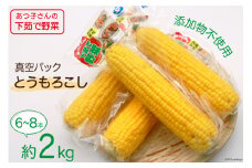 【期間限定発送】【あつ子さんの下茹で野菜】 とうもろこし 約 2kg（6～8本） [雲仙みずほの郷 長崎県 雲仙市 item1429] とうもろこし トウモロコシ 野菜 茹で野菜 簡単調理