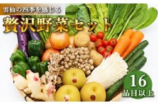 贅沢 野菜 セット どっさり 16品目以上 季節の野菜 フルーツ キノコ 詰め合わせ [吉岡青果 長崎県 雲仙市 item2215]