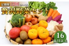 定期便 12回コース 贅沢 野菜 セット どっさり 16品目以上 季節の野菜 フルーツ キノコ 詰め合わせ [吉岡青果 長崎県 雲仙市 item2218]